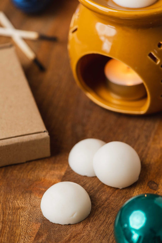 Winter Pine + Eucalyptus soy wax melts