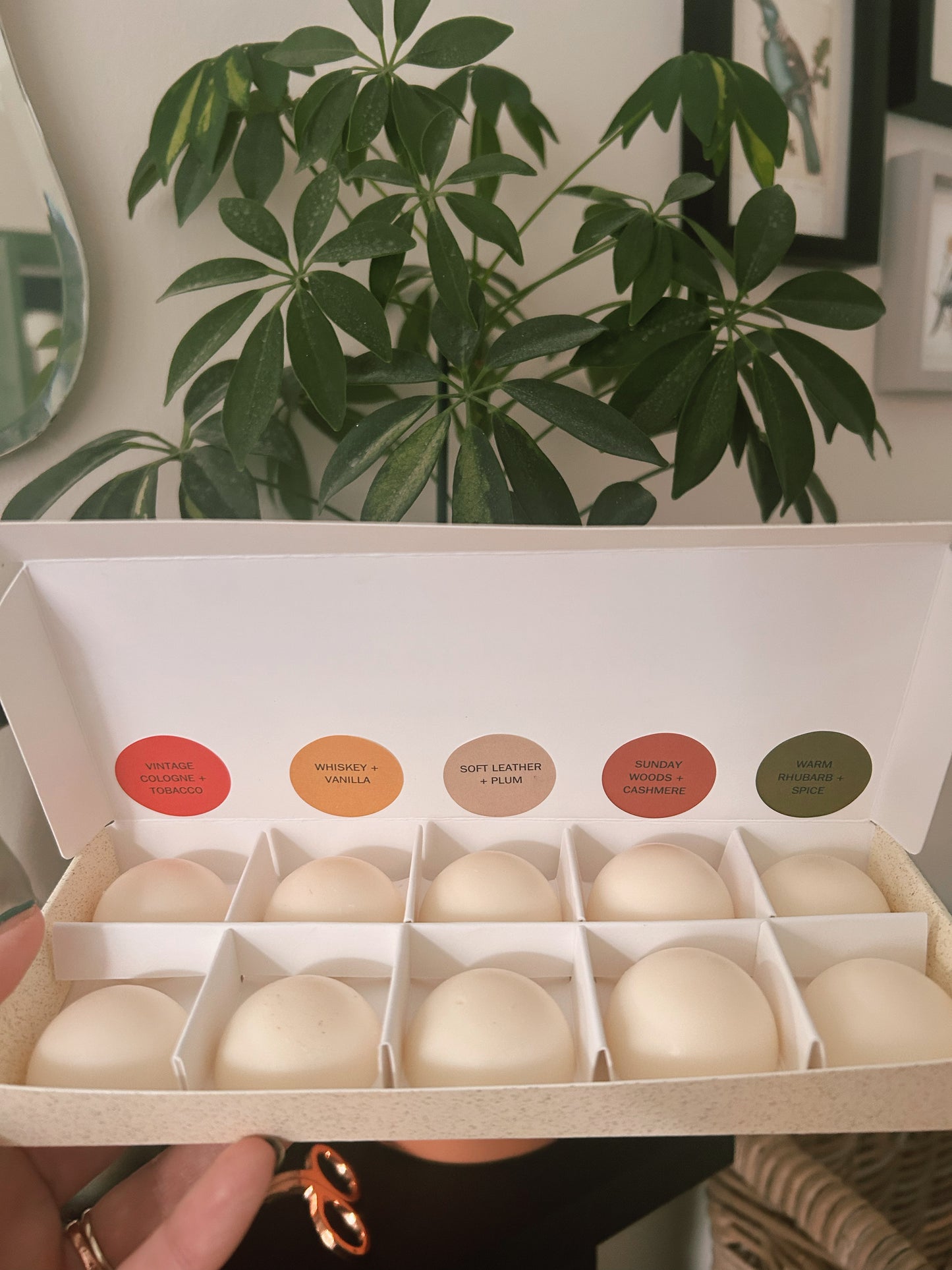 Limited edition soy wax melt collection
